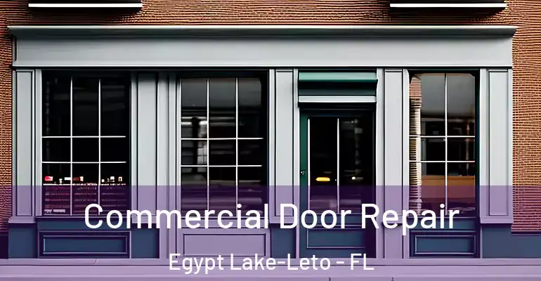  Commercial Door Repair Egypt Lake-Leto - FL