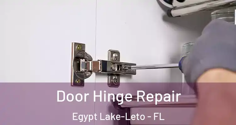  Door Hinge Repair Egypt Lake-Leto - FL