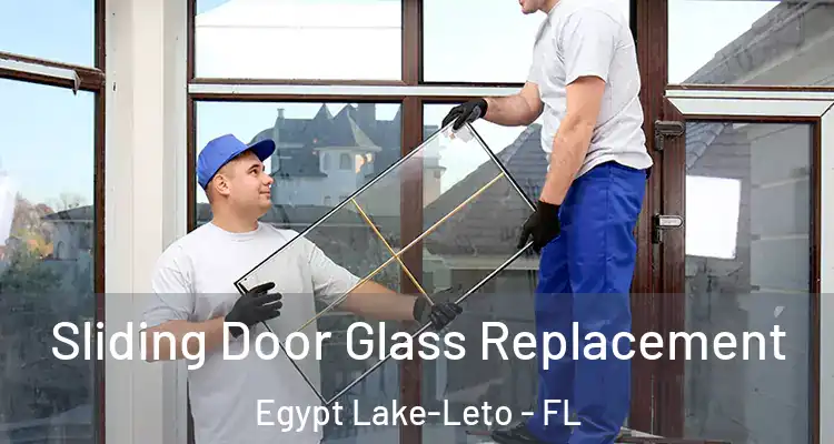  Sliding Door Glass Replacement Egypt Lake-Leto - FL