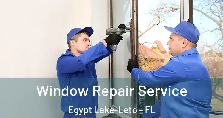  Window Repair Service Egypt Lake-Leto - FL